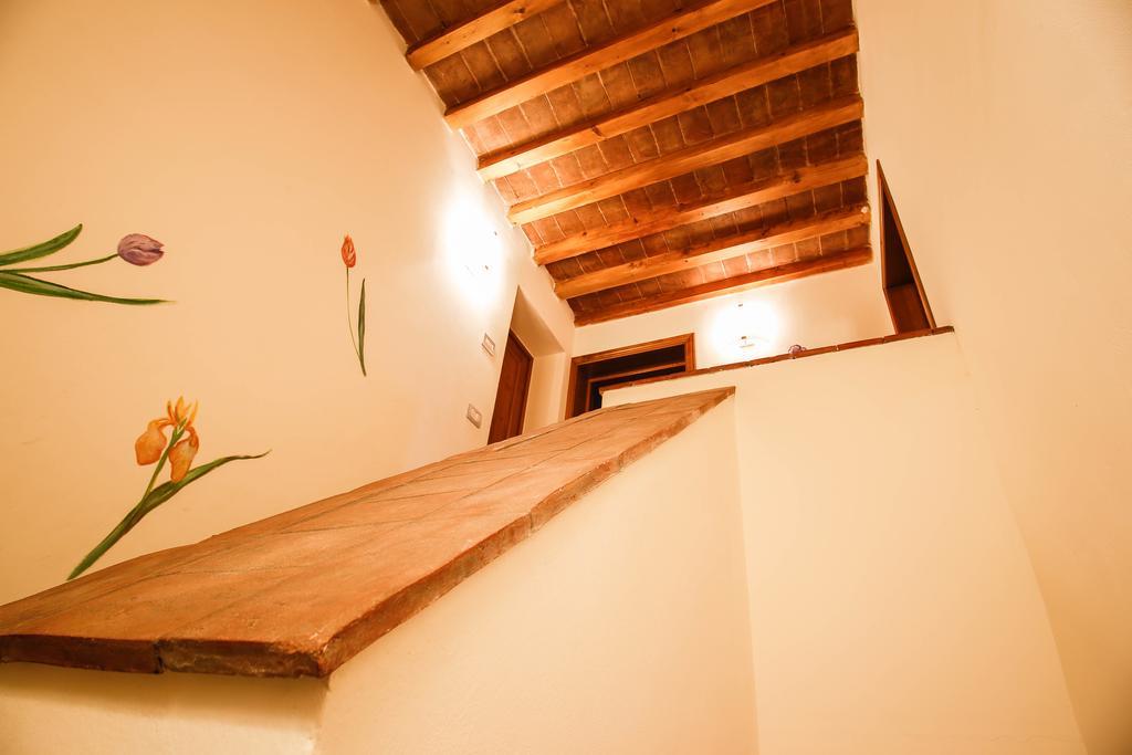 Gatto Bianco Tizzauli Villa Монтеспертоли Екстериор снимка